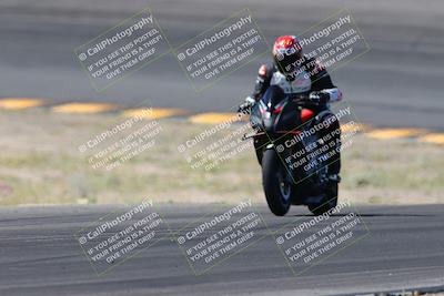 media/Apr-14-2024-SoCal Trackdays (Sun) [[70f97d3d4f]]/5-Bowl Exit (1020am)/